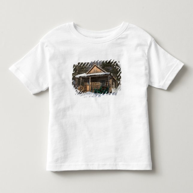 Stugorna vid AMC:s Little Lyford Pond Tee (Framsida)