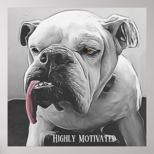 Stultiverad, stiliserad grumpy bulldog poster