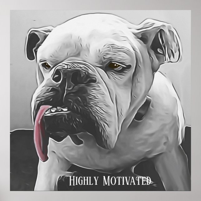 Stultiverad, stiliserad grumpy bulldog poster (Framsidan)