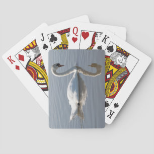 Stum svan spel kort