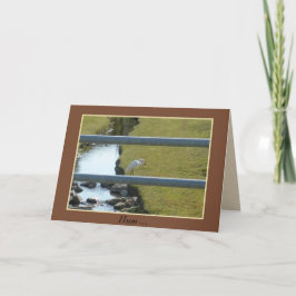 "Stumlad på detta" 5" x 7" kort med kuvert