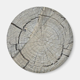 Stump i träd magnet
