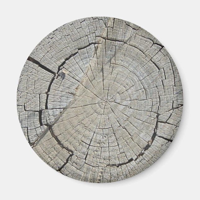 Stump i träd magnet (Framsidan)