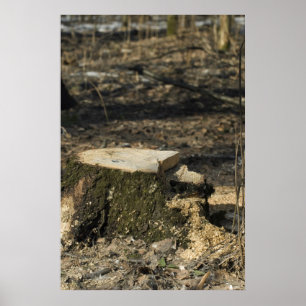 Stump i träd poster