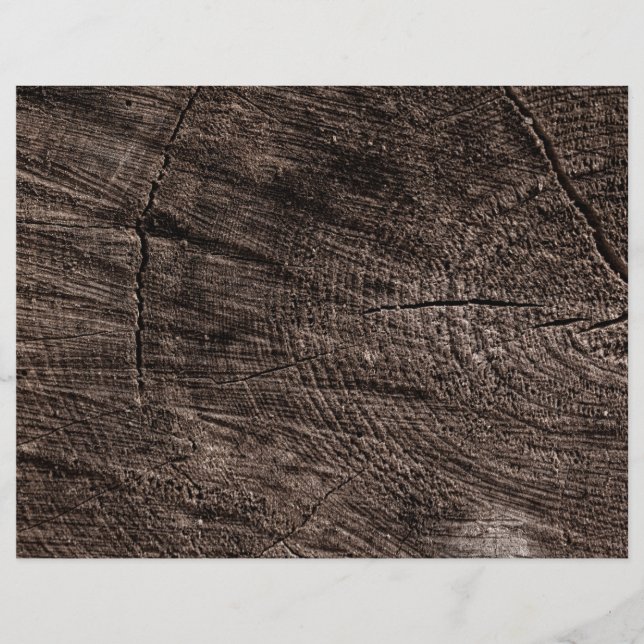 Stump i träd reklamblad (Framsidan)