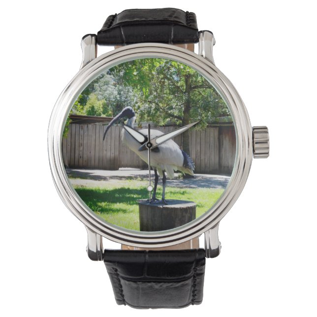 **"Stump Perch: Tunna-kycklingarna återställer Stä Armbandsur (Framsida)