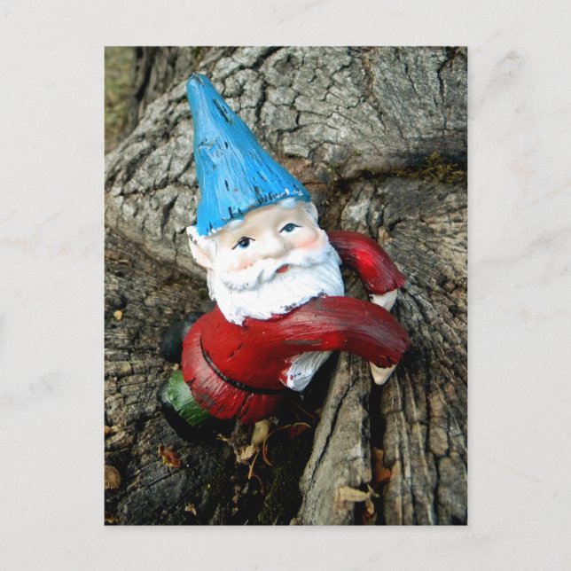 Stumped Gnome Vykort (Framsida)