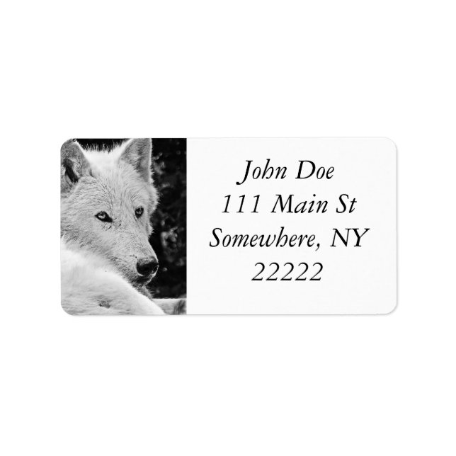 Stunkande vit Varg Adressetikett (Framsidan)