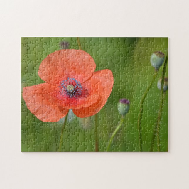 Stunkning Red Poppy Pussel (Horisontell)