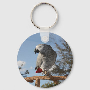 Stunning African Grått Parrot Nyckelring
