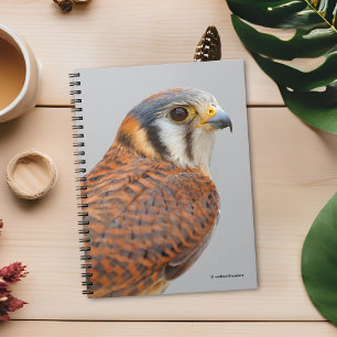 Stunning American Kestrel Sparrowhawk Falcon Anteckningsbok