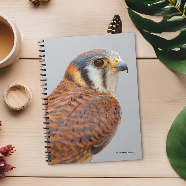 Stunning American Kestrel Sparrowhawk Falcon Anteckningsbok (Stunning Closeup of an American Kestrel Journal Cover Photo)