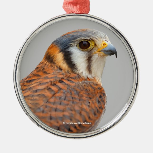 Stunning American Kestrel Sparrowhawk Falcon Julgransprydnad Metall (Framsidan)