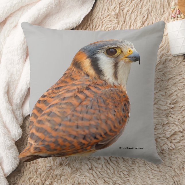 Stunning American Kestrel Sparrowhawk Falcon Kudde (Filt)