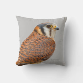Stunning American Kestrel Sparrowhawk Falcon Kudde