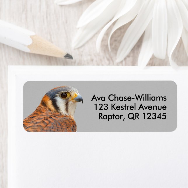 Stunning American Kestrel Sparrowhawk Falcon Returadress Etikett (Insitu)