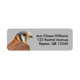 Stunning American Kestrel Sparrowhawk Falcon Returadress Etikett