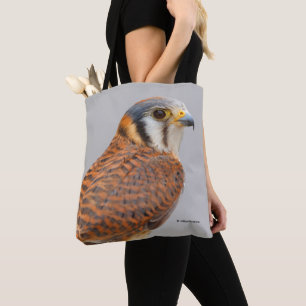 Stunning American Kestrel Sparrowhawk Falcon Tygkasse