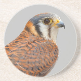 Stunning American Kestrel Sparrowhawk Falcon Underlägg