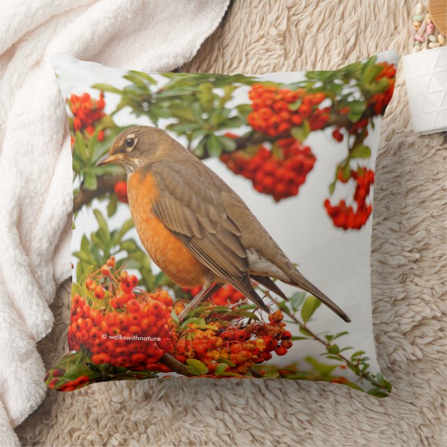 Stunning American Robin Songbird i Pyracantha Kudde (Filt)