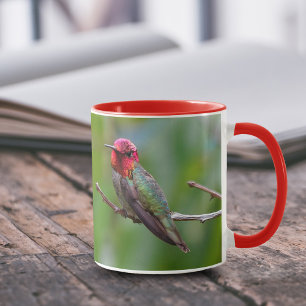 Stunning Anna Hummingbird på Fruit Träd Mugg