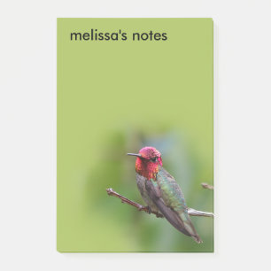 Stunning Anna Hummingbird på Fruit Träd Post-it Block