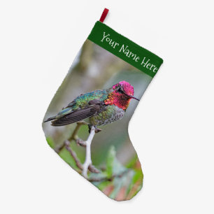 Stunning Anna Hummingbird på Plum Träd Gren Stor Julstrumpa