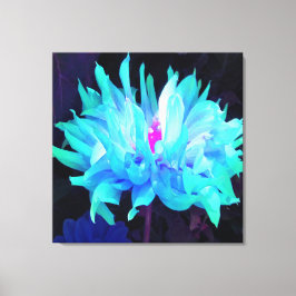 Stunning Aqua Blue och Grönt Cactus Dahlia Canvastryck