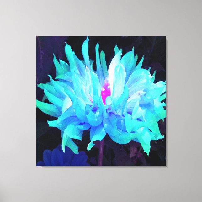 Stunning Aqua Blue och Grönt Cactus Dahlia Canvastryck (Framsida)