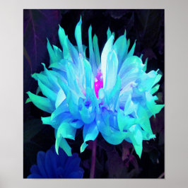 Stunning Aqua Blue och Grönt Cactus Dahlia Poster