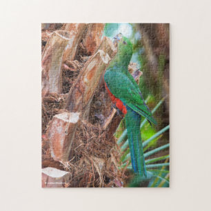 Stunning Australian Kung Parrot klättrar vid Träd Pussel