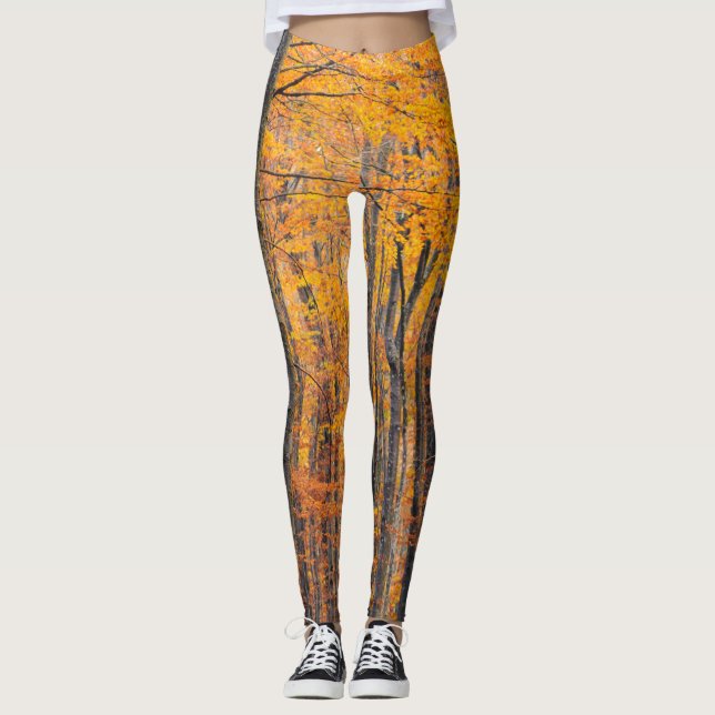 Stunning av höstskog i guld leggings (Framsida)