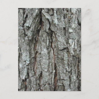 Stunning Bark Vykort