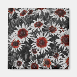 Stunning Black-Eyed Susans Magnet