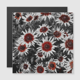 Stunning Black Eyed Susans Magnetic Card