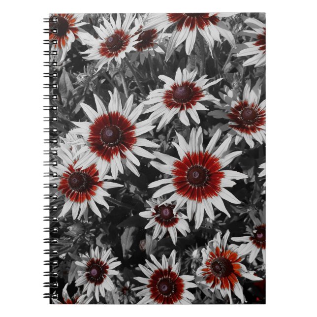 Stunning Black-Eyed Susans Spiral bärbar dator Anteckningsbok (Framsidan)