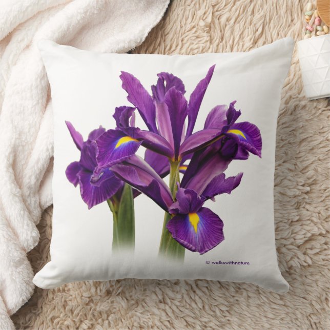 Stunning Blommigt Dutch Iris Lila Sensation Kudde (Filt)