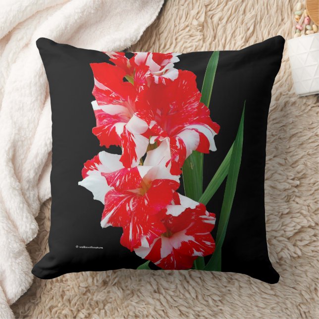 Stunning Blommigt Red & White Gladiolus Sword Lili Kudde (Filt)