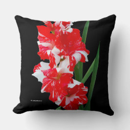 Stunning Blommigt Red & White Gladiolus Sword Lili Kudde