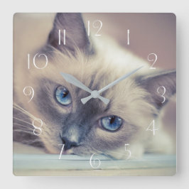 Stunning Blue Eyed Ragdoll Cat Fyrkantig Klocka