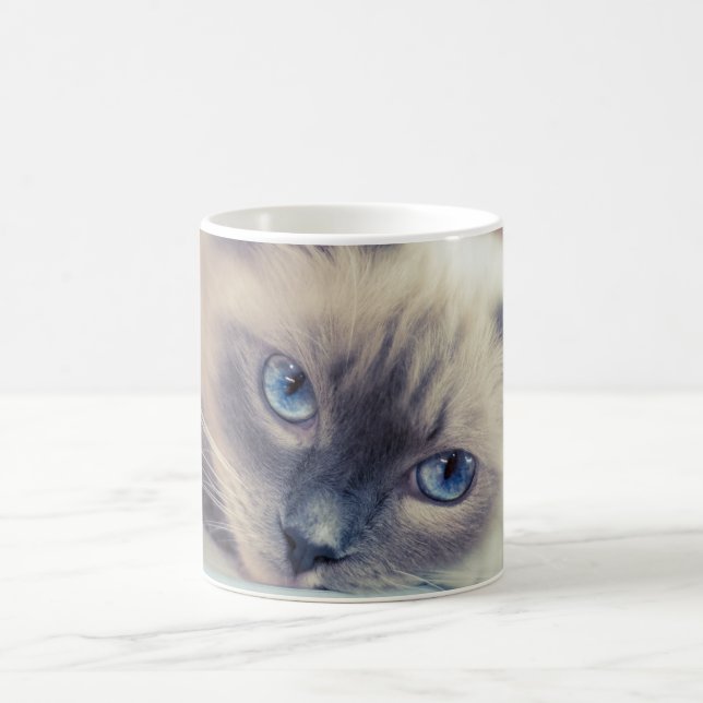 Stunning Blue Eyed Ragdoll ‎ Cat Kaffemugg (Center)