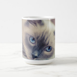 Stunning Blue Eyed Ragdoll Cat Magisk Mugg