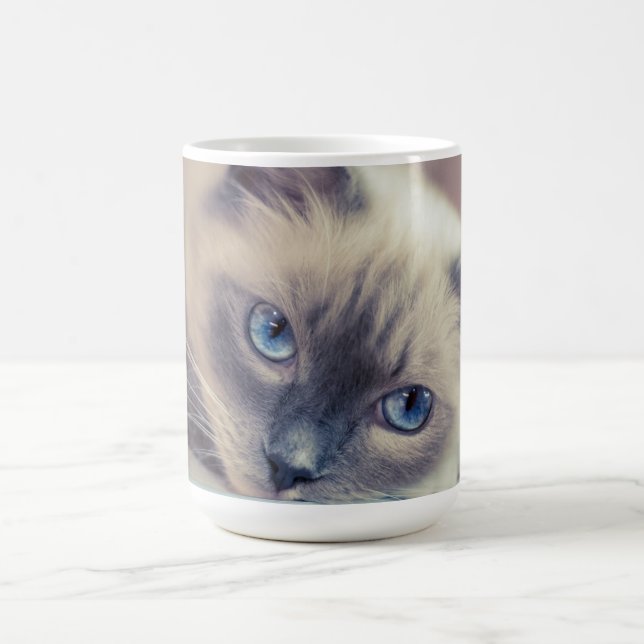 Stunning Blue Eyed Ragdoll ‎ Cat Magisk Mugg (Center)