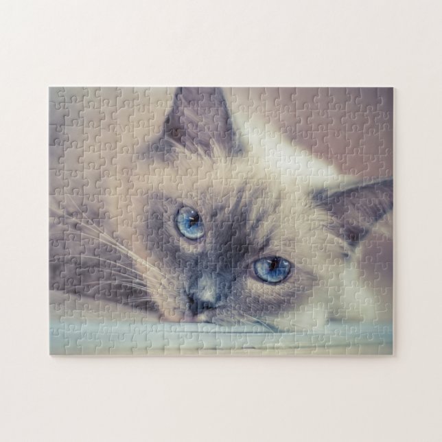 Stunning Blue Eyed Ragdoll ‎ Cat Pussel (Horisontell)