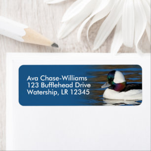 Stunning Bufflehead Anka vid vinter Pond Returadress Etikett