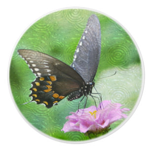 Stunning Butterfly Ceramic Knob Knopp