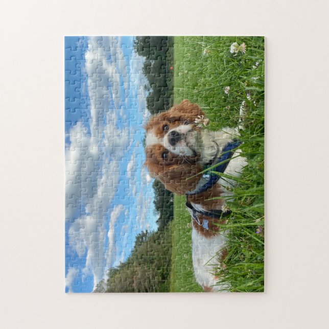 Stunning Cavalier Kung Charles Spain Puzzle Pussel (Vertikal)