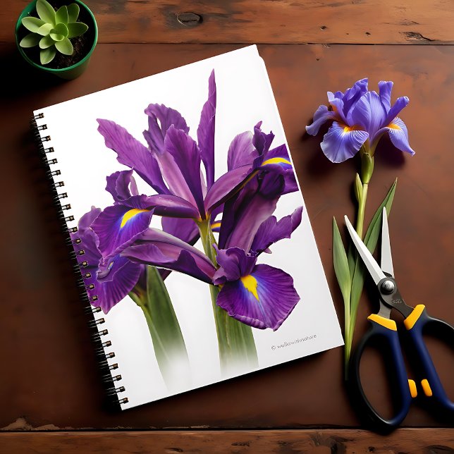 Stunning Dutch Iris Lila Sensation Flower Anteckningsbok Med Spiral (Stunning Dutch Iris Purple Sensation Journal Cover Photo)