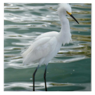 Stunning Egret Bird Kakelplatta
