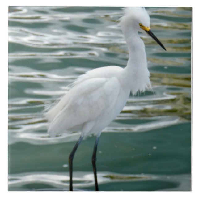 Stunning Egret Bird Kakelplatta (Framsidan)